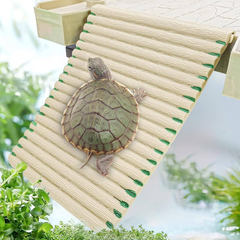 Turtle on textured ramp of floating basking platform with feeding area