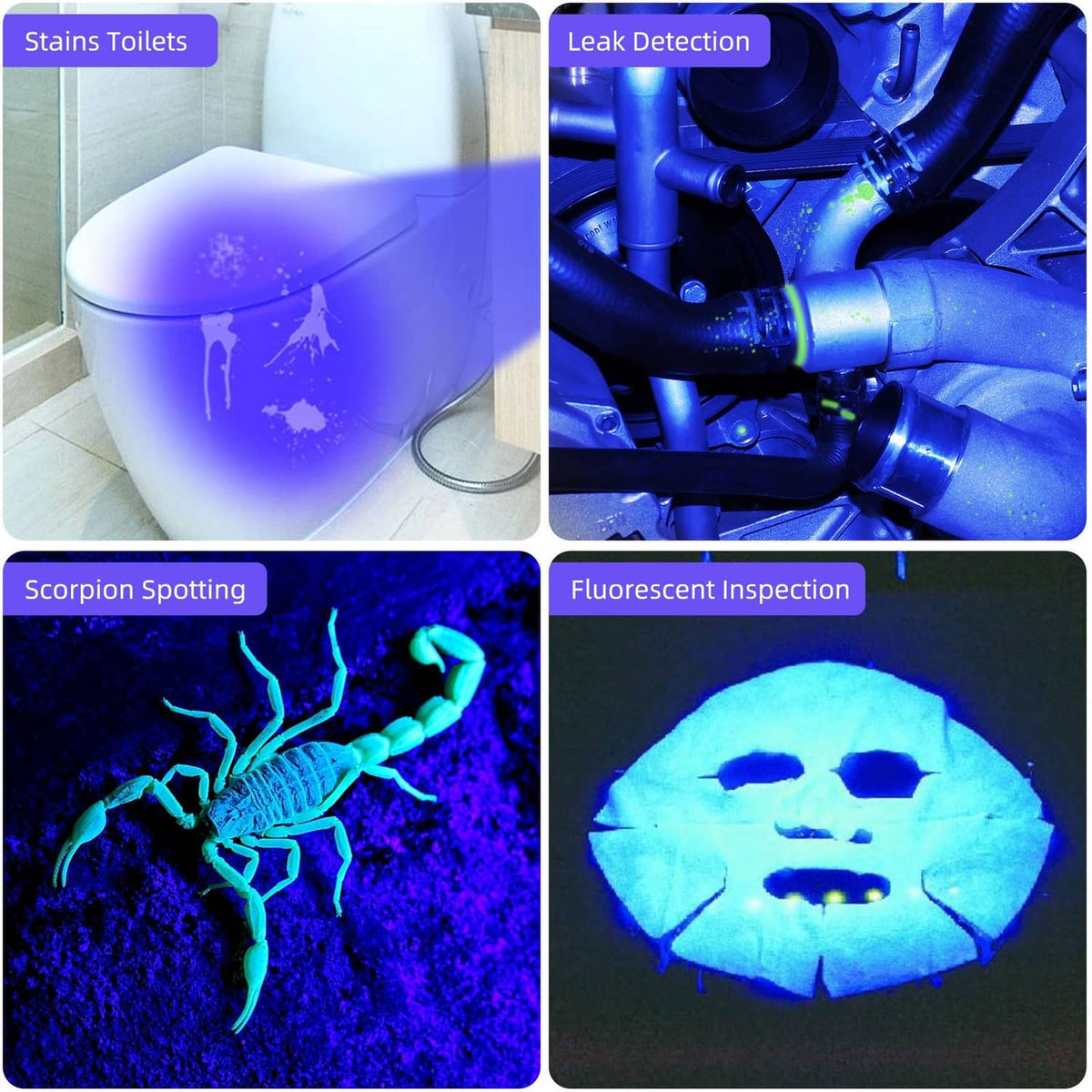 365nm UV flashlight casting blue glow on toilet stains and surfaces