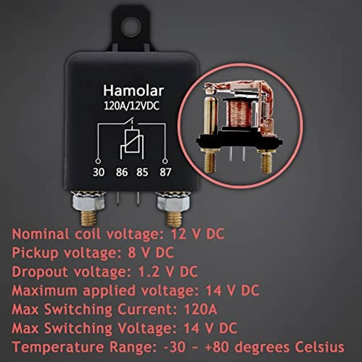 Hamolar 12V DC relay switch with internal coil detail and terminal hardware (2-pin view)