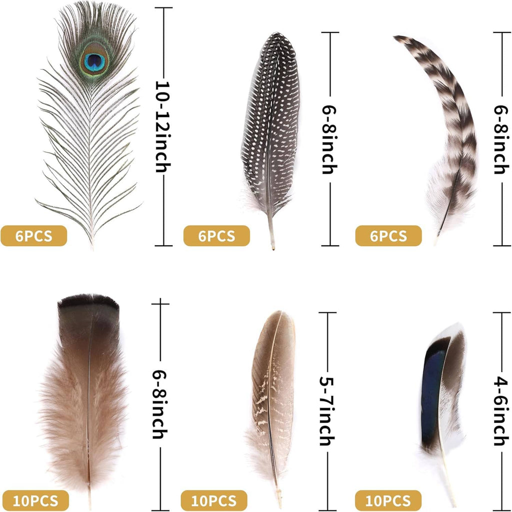 Assorted feather set with peacock-eye, black-dotted, brown, and striped feathers with sizes