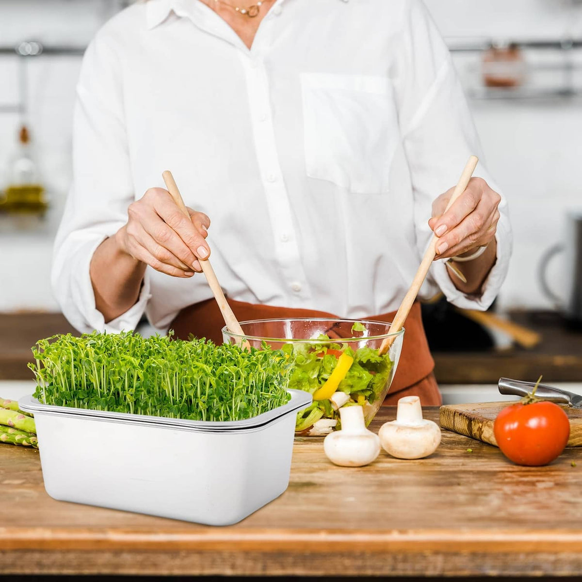 Square sprouting tray with green sprouts on kitchen table during setup
