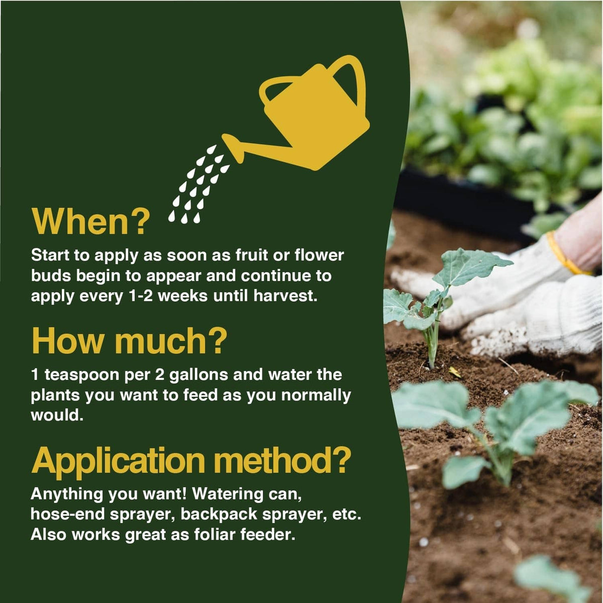 Fertilizer label panel with how-to instructions for watering and application