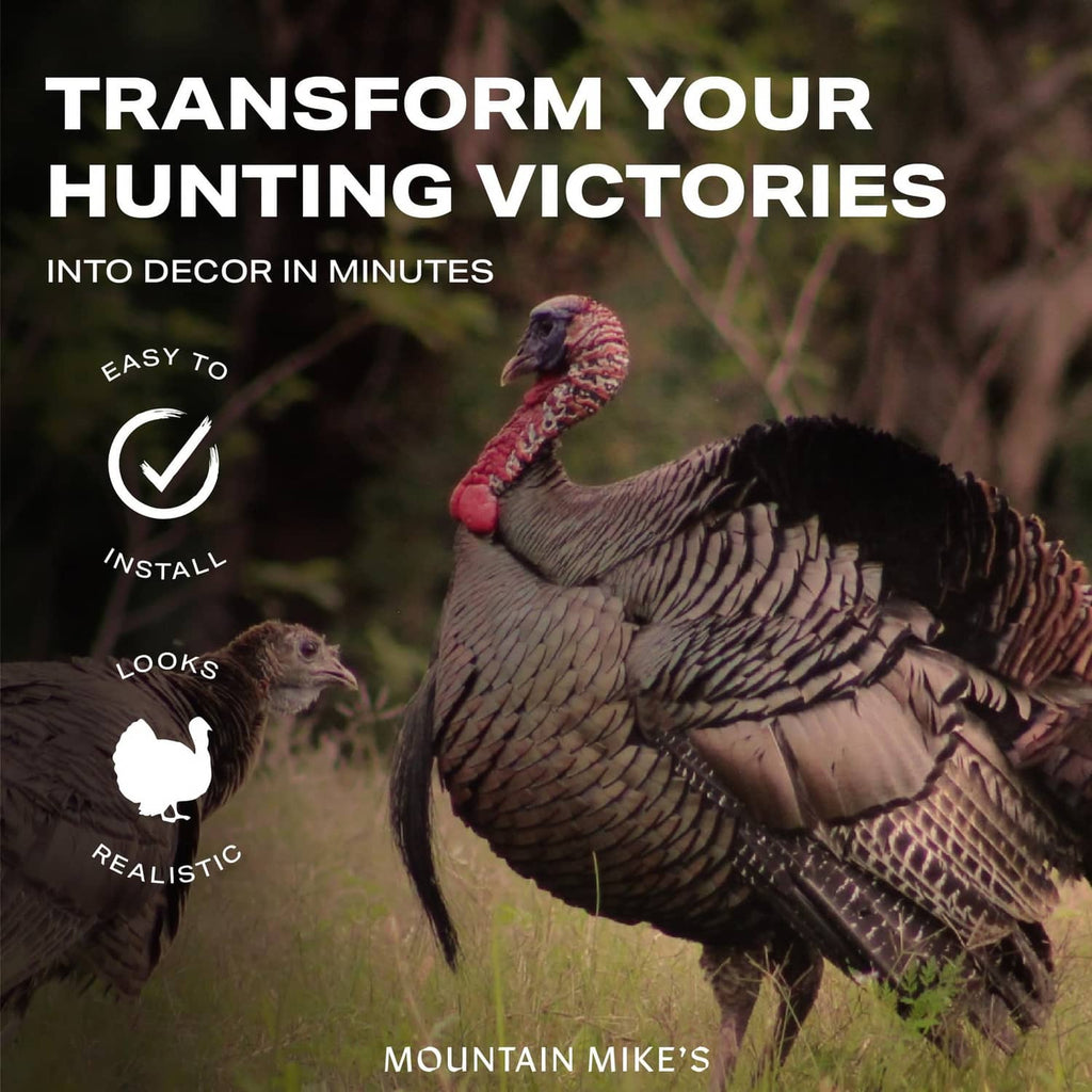 Realistic turkey decoy on a mounted plaque with wide feather fan