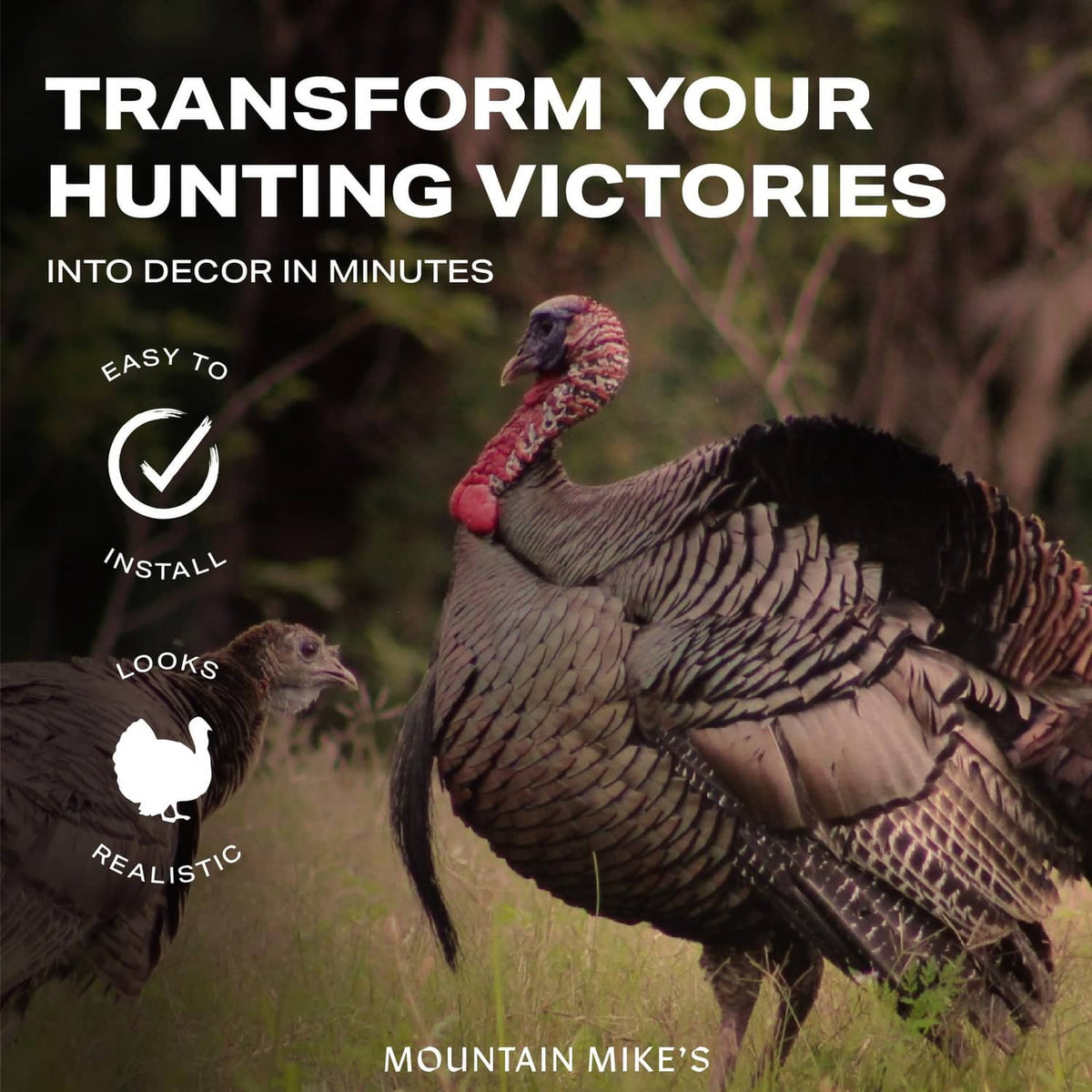 Realistic turkey decoy on a mounted plaque with wide feather fan