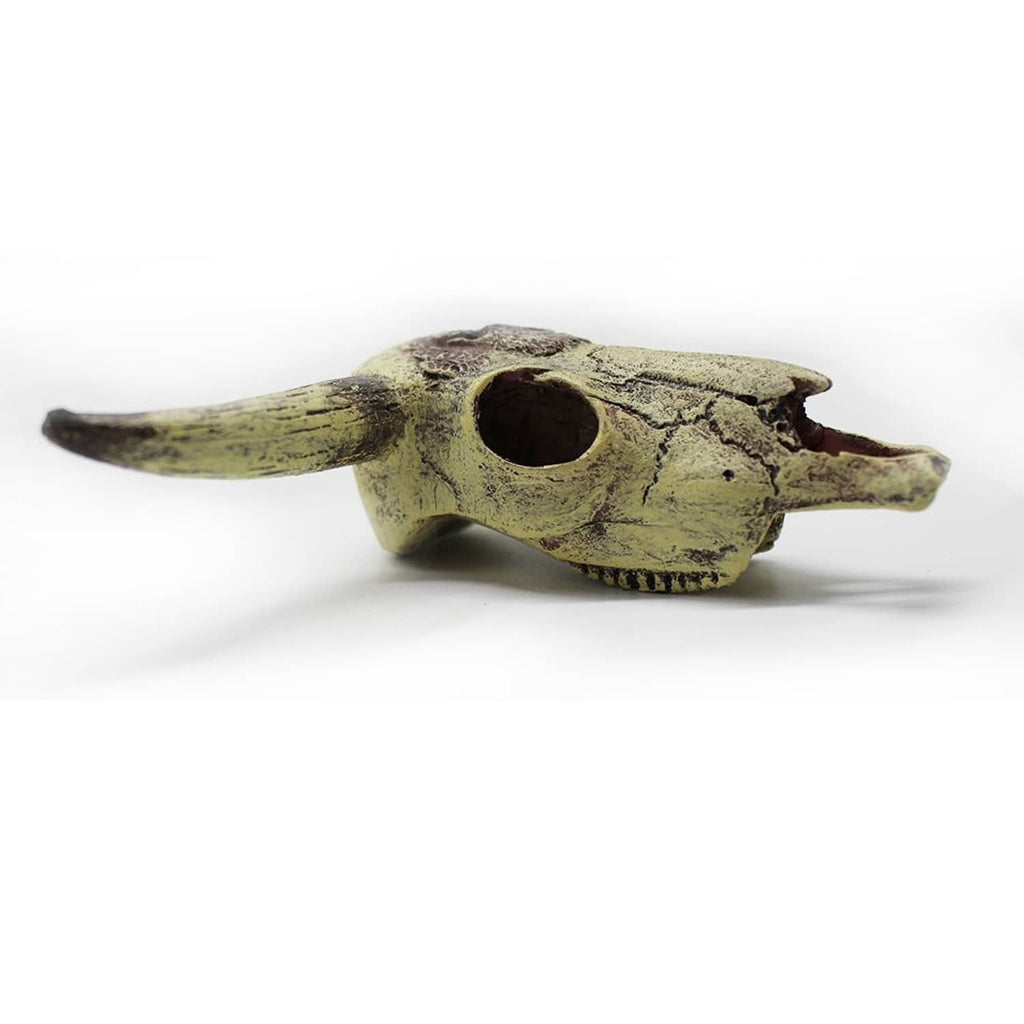 Aquarium skull ornament in profile with dark round opening and greenish-beige patina