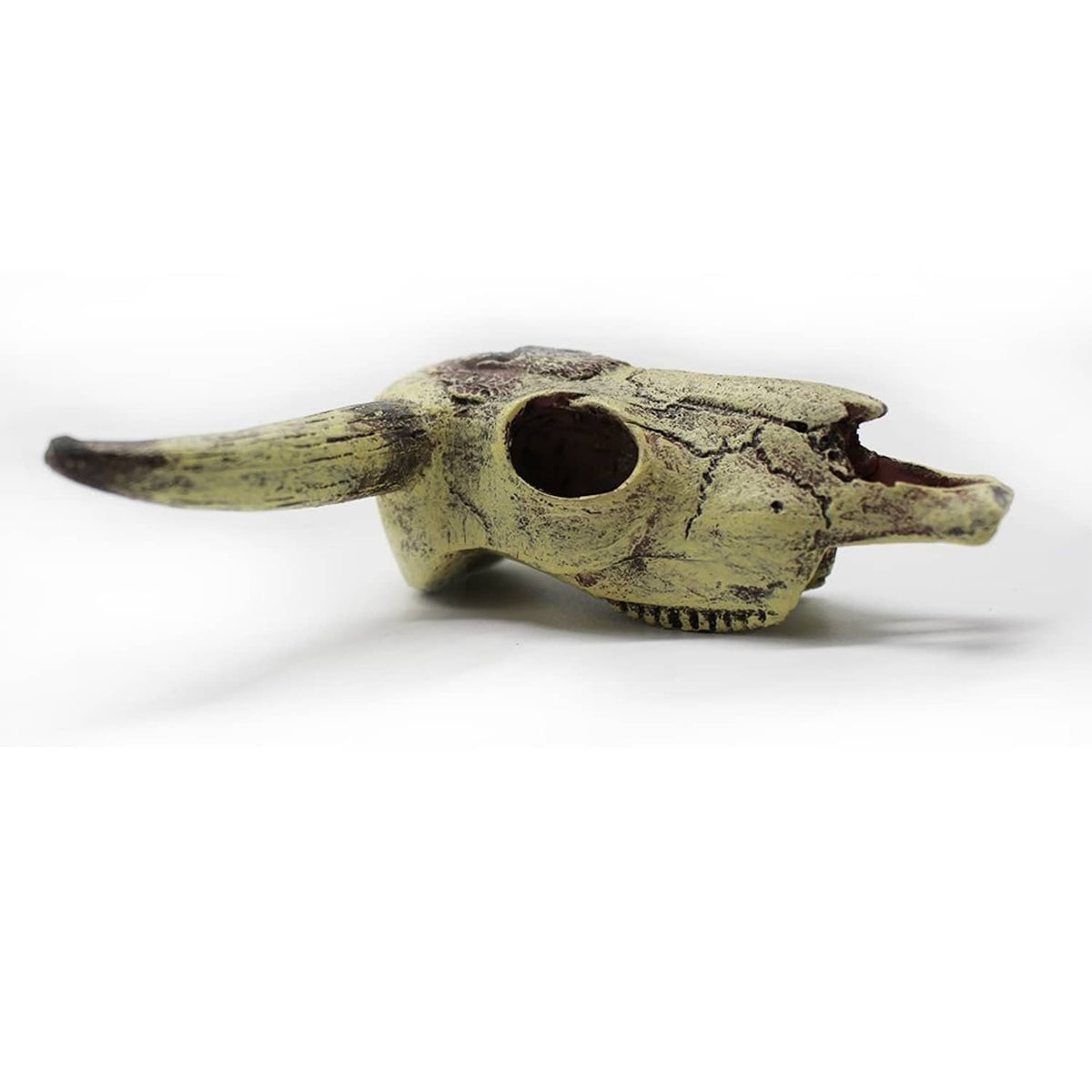 Aquarium skull ornament in profile with dark round opening and greenish-beige patina