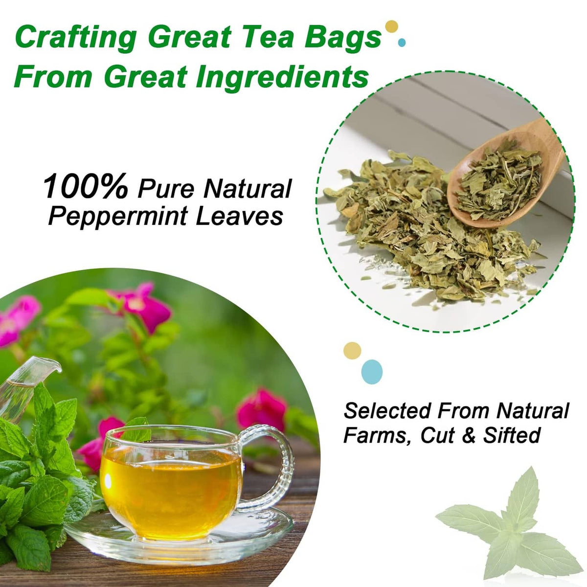 Peppermint tea bag ingredient infographic with natural peppermint leaves and cup