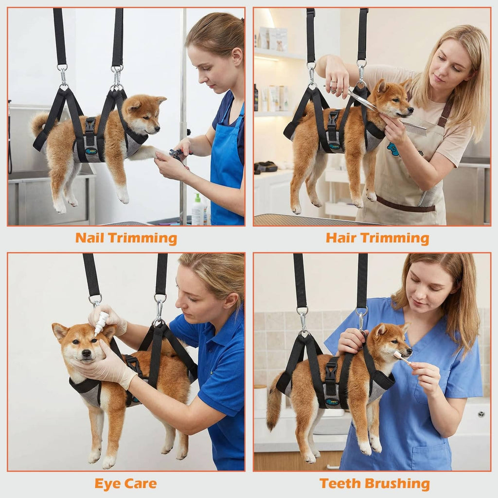 Pet grooming hammock used for nail, hair, eye, and teeth grooming on small dogs