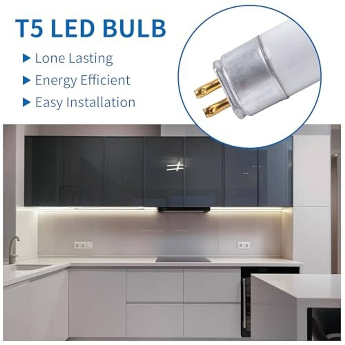 T5 LED bulb icons with close-up of gold-pin base; 6500K daylight tube light