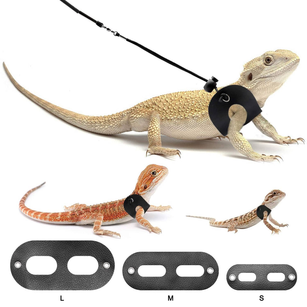 Bearded dragon harness with adjustable leash and black oval leather-style straps