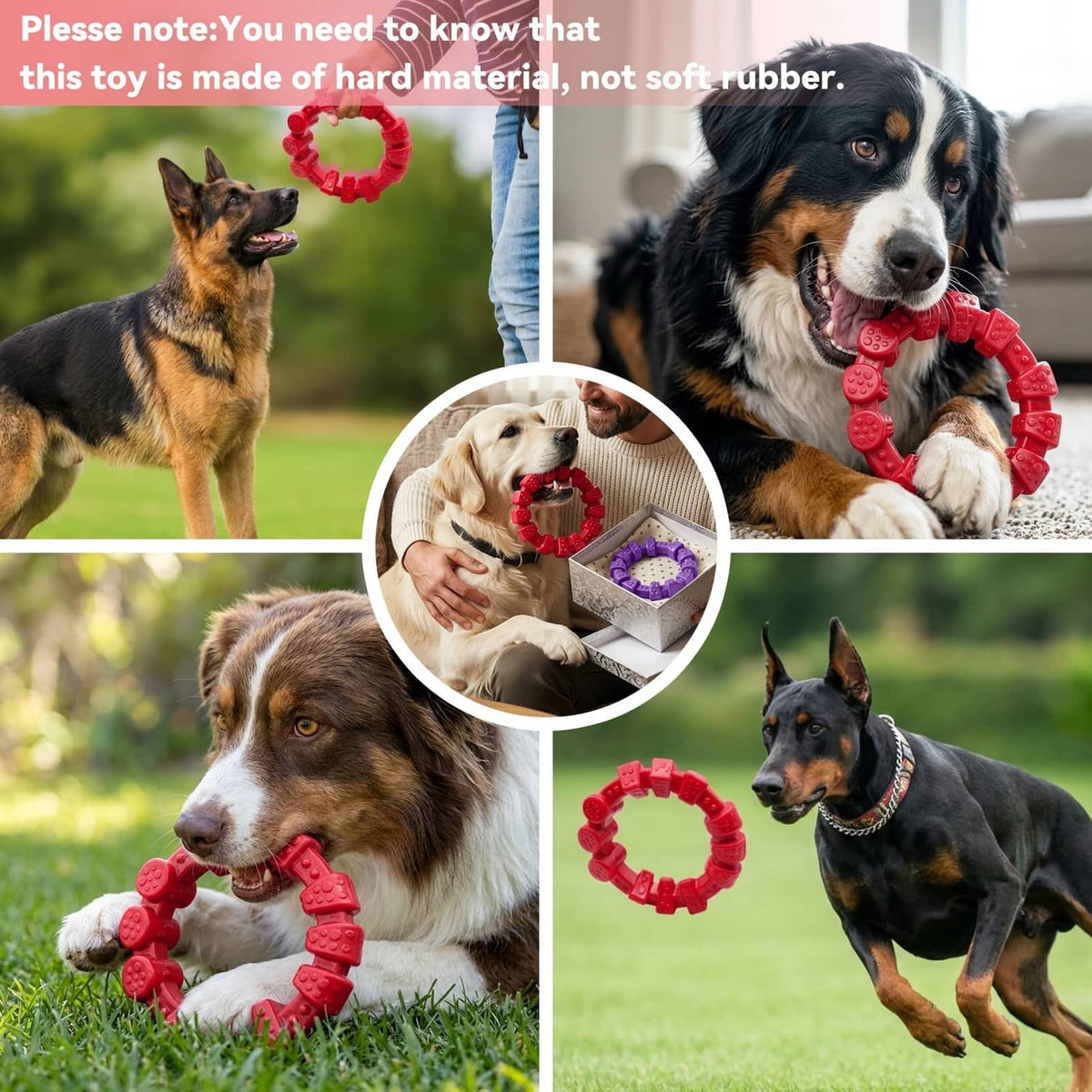 Red and purple bumpy dog chewing ring toy shown with dogs outdoors