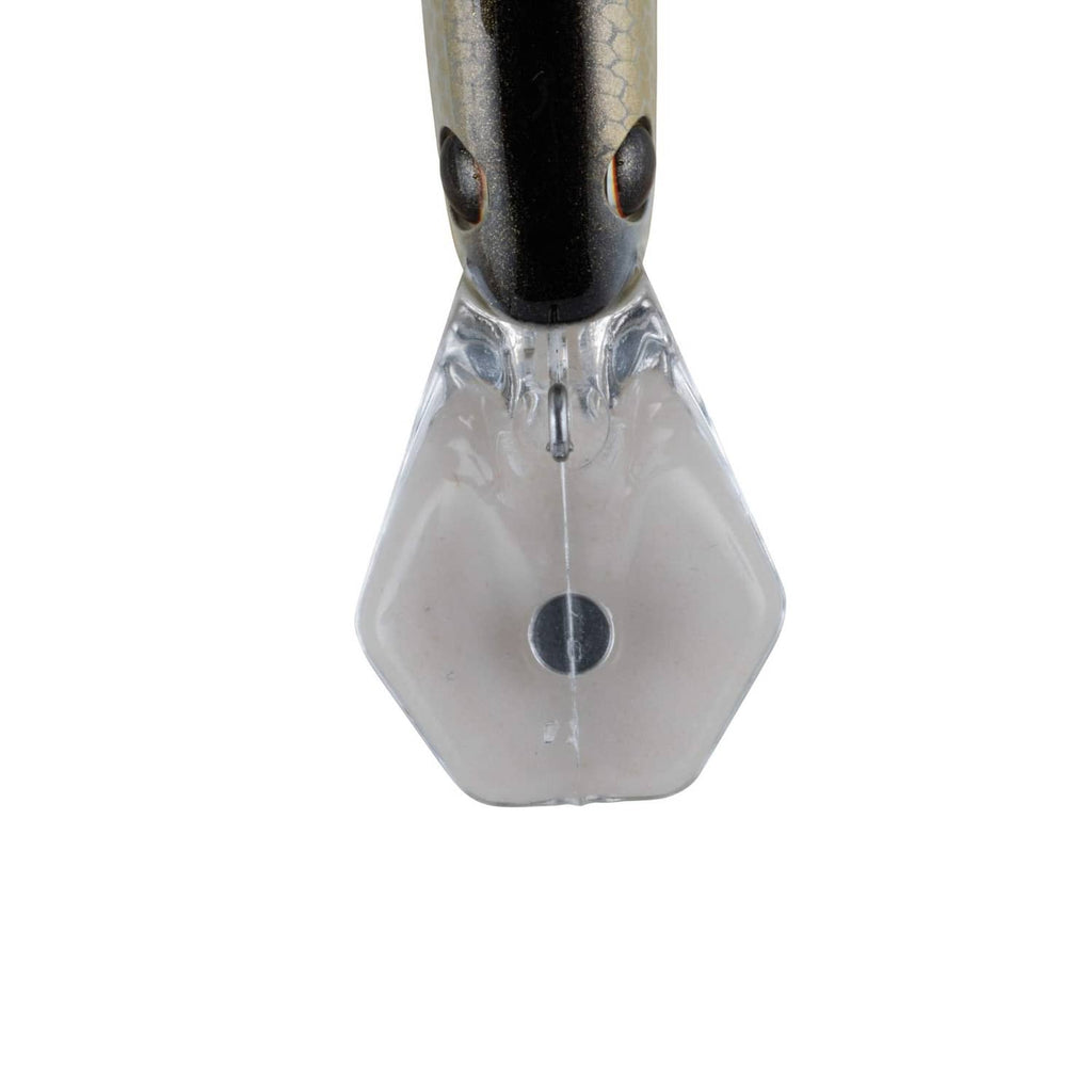 Crankbait lure head with black top and honey scales, clear plastic bib