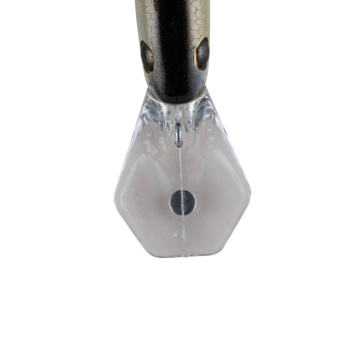 Crankbait lure head with black top and honey scales, clear plastic bib