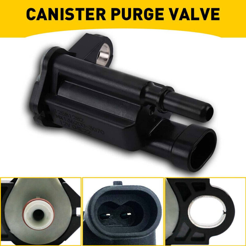 Black canister purge solenoid valve with dual hoses and face ports
