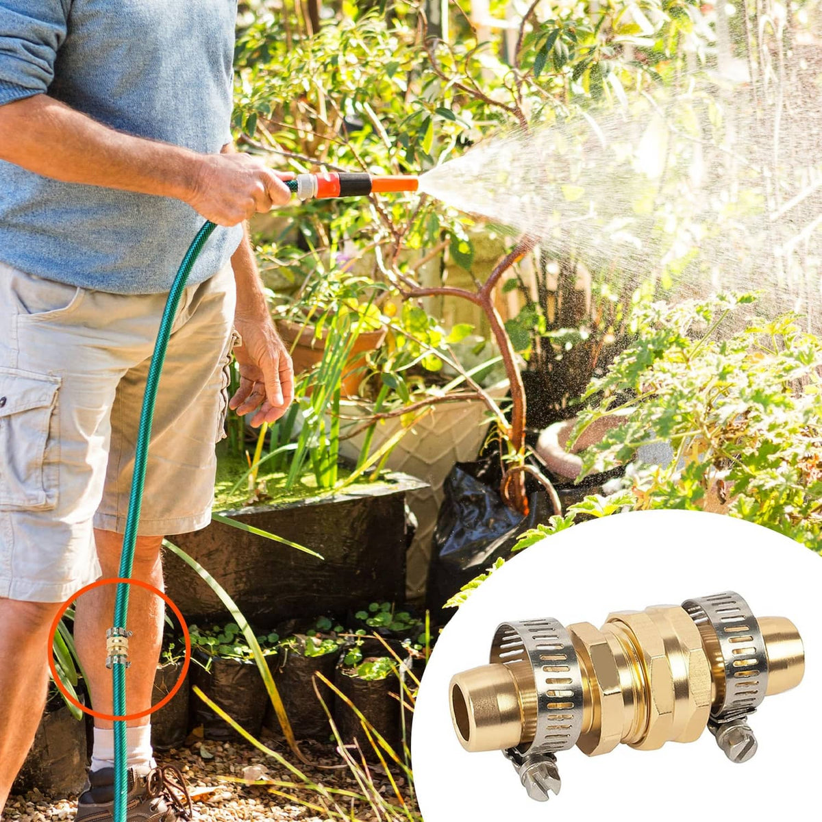 Gold brass garden hose repair connector with metal clamps attached to green hose line