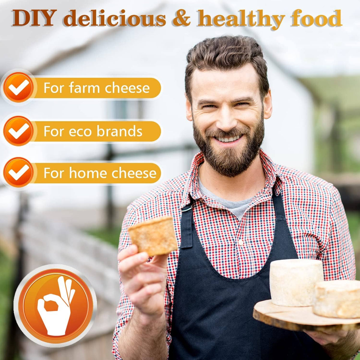Cheese making at home: person holding cheese slices beside small farm-style cheese