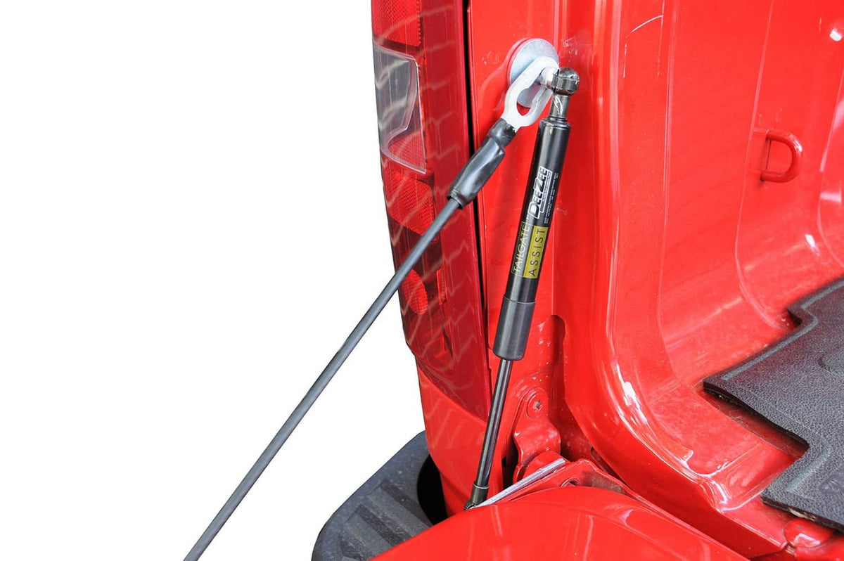 Tailgate assist strut with spring rod for truck tailgate