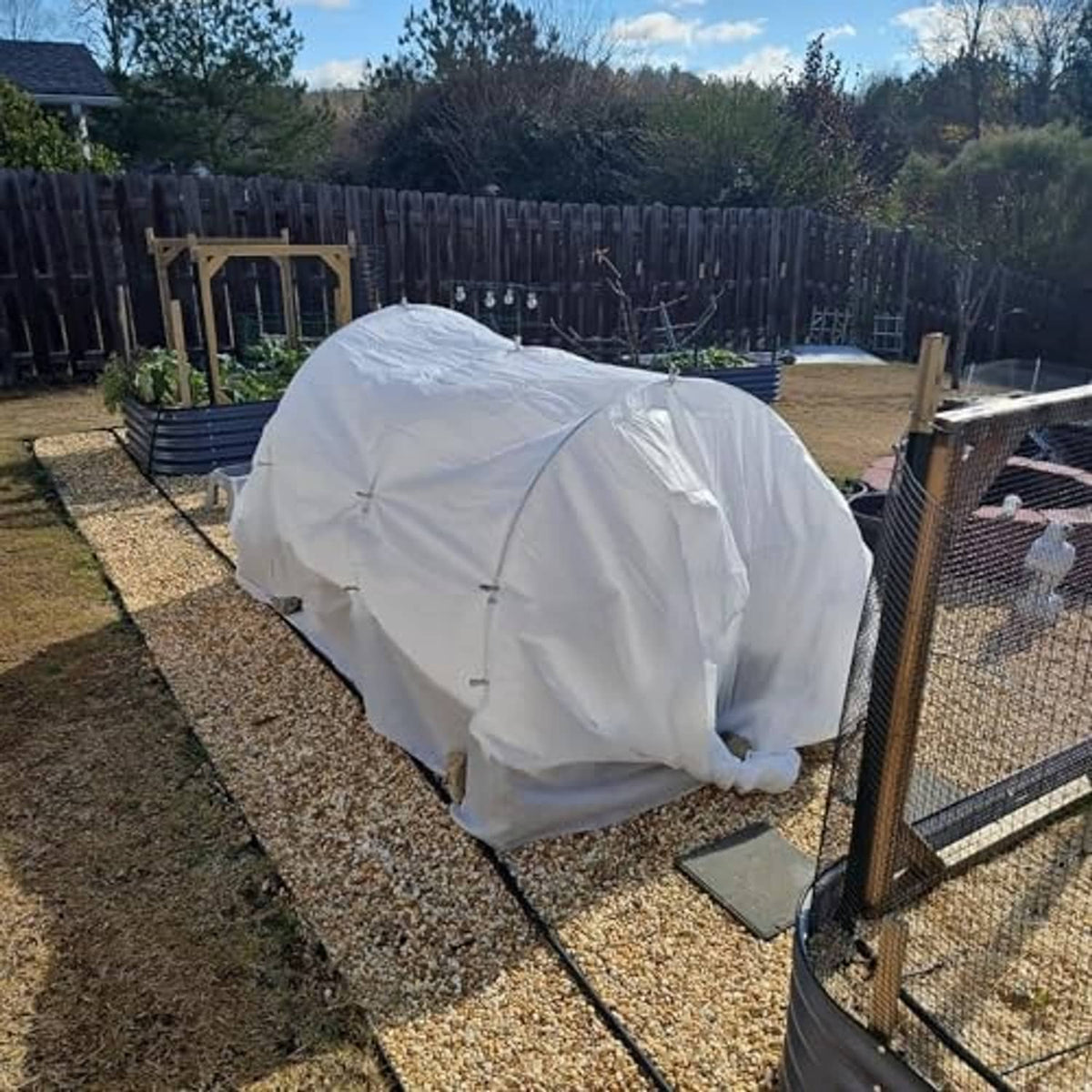 White covered garden grow tunnel hoop frame over raised garden bed outdoors