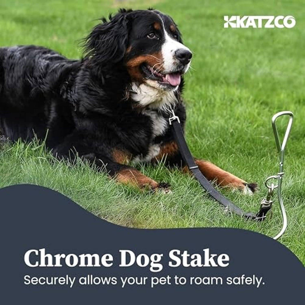 Chrome metal tie-out stake with eye ring and attached dog tether strap