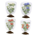Set of four clear white drawstring garden netting covers for plants, each with plant inside
