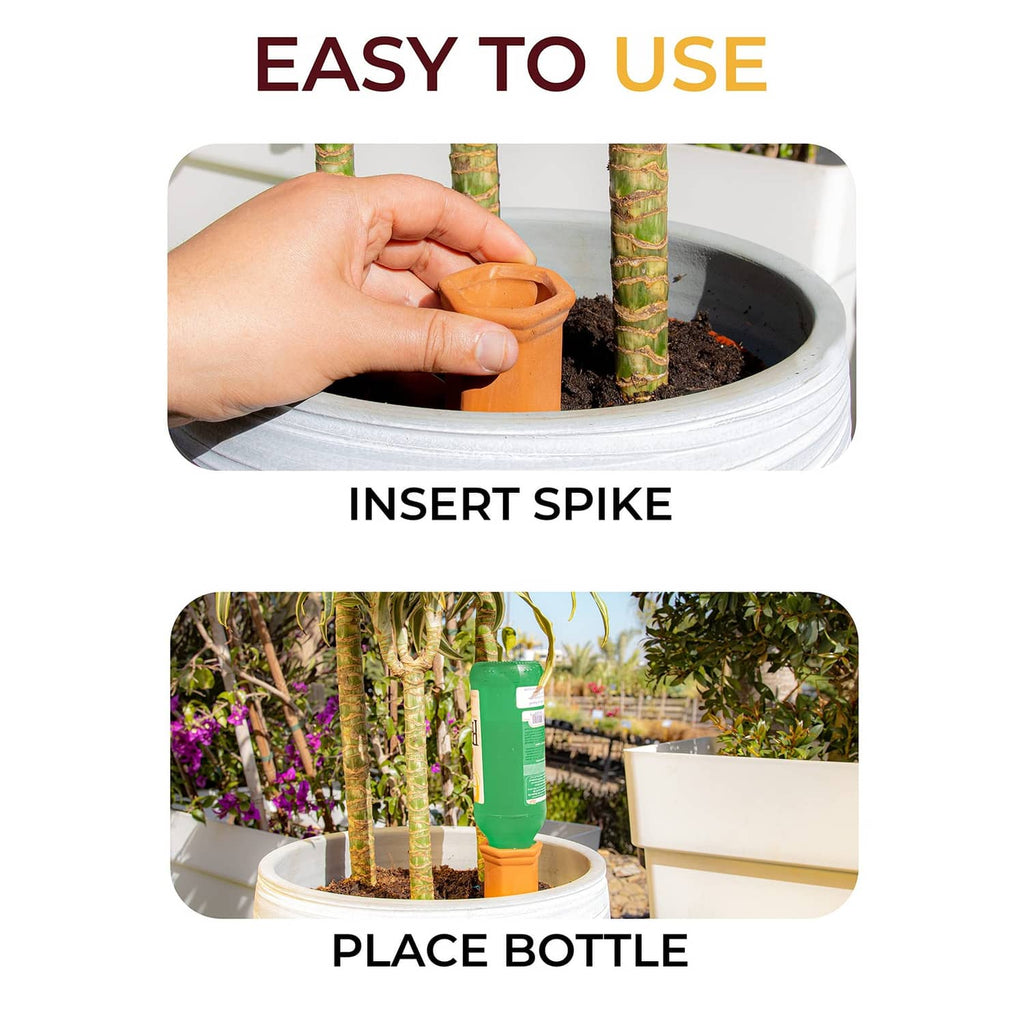 Hand inserting a terra-cotta self-watering spike into pot soil