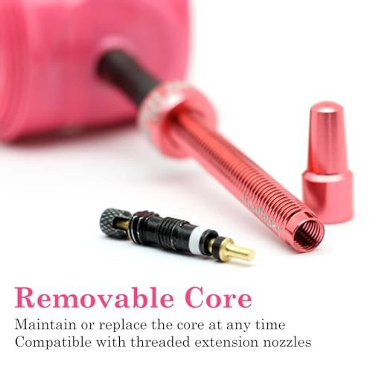 Removable core detail with metal Presta valve and red TPU inner tube roll