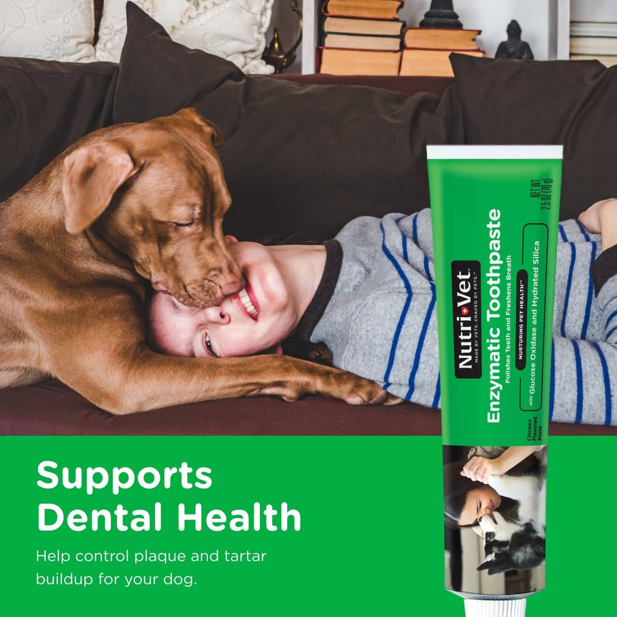 Dog dental support graphic featuring enzymatic toothpaste tube