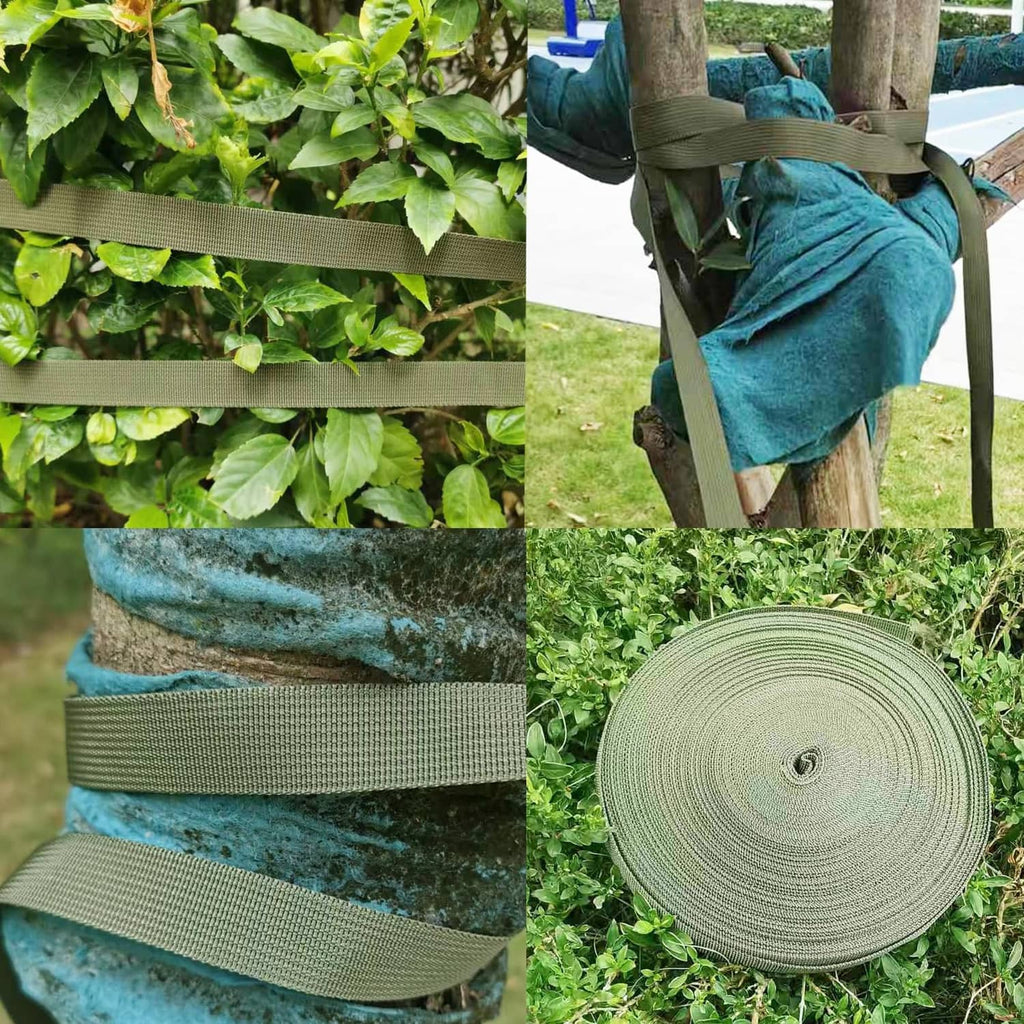 Army green tree support strap wrapped around trunk, with coiled roll