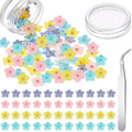 Pressed forget-me-not dried flowers, multicolor flat petals in a loose pack