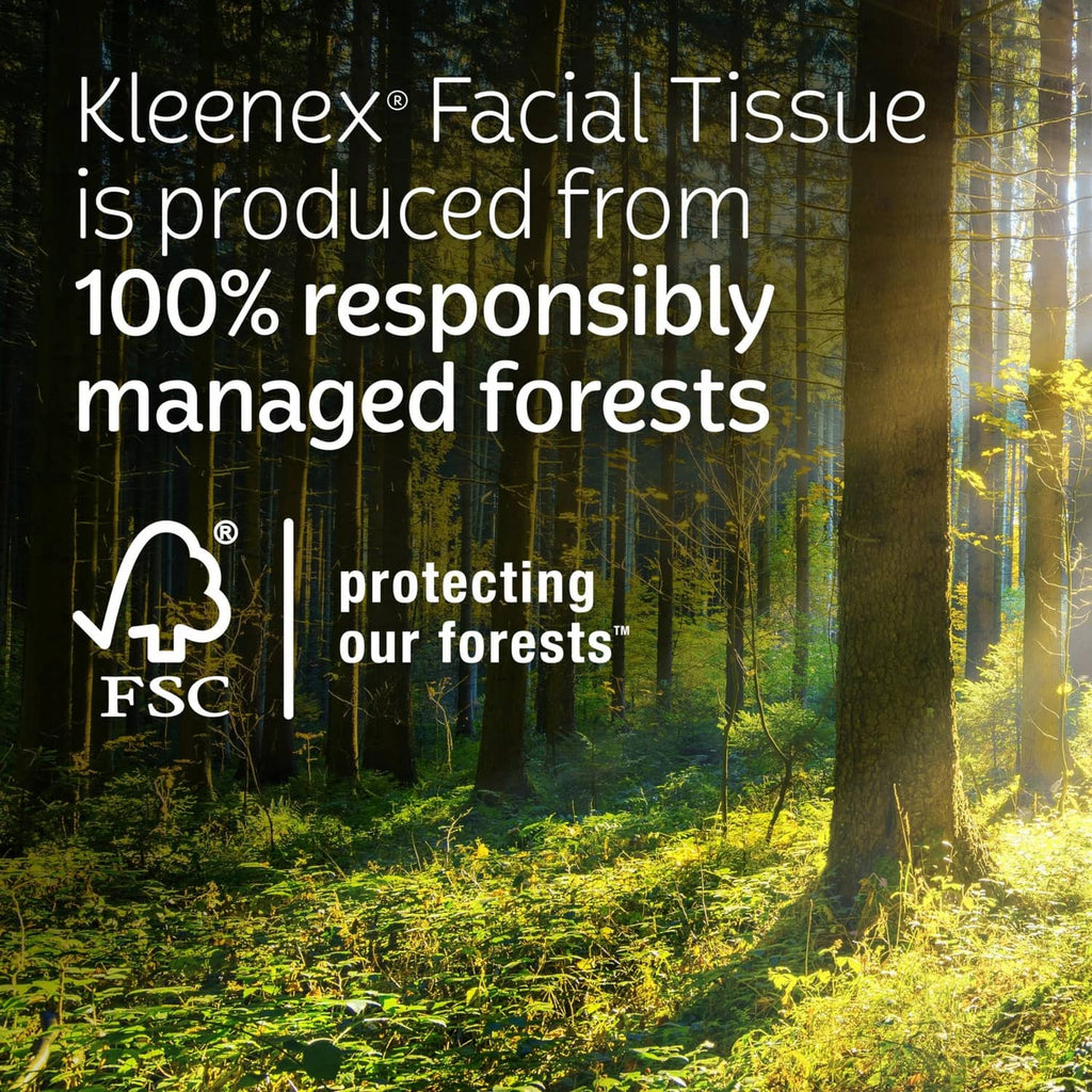 Kleenex facial tissue FSC sustainability forest graphic
