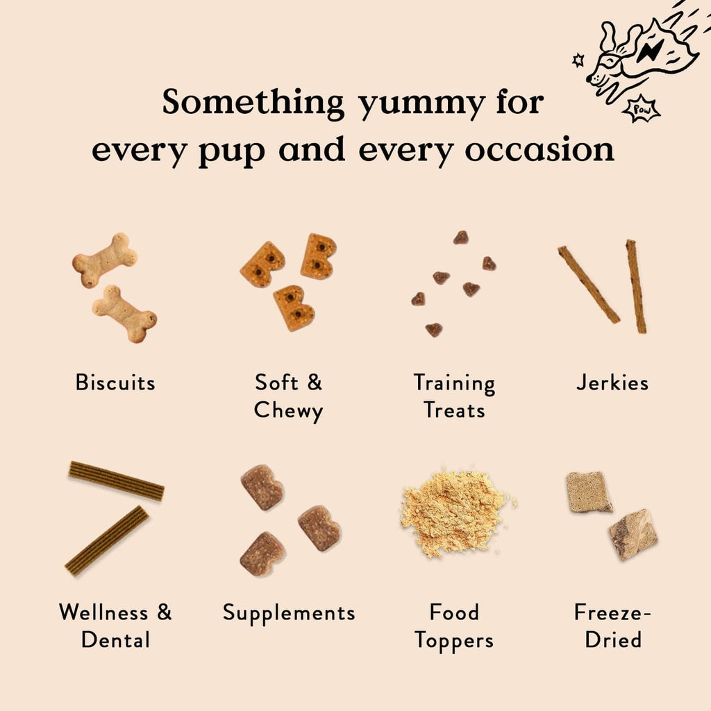 Assorted dog treat types shown with labels: biscuits, soft & chewy, training, jerky