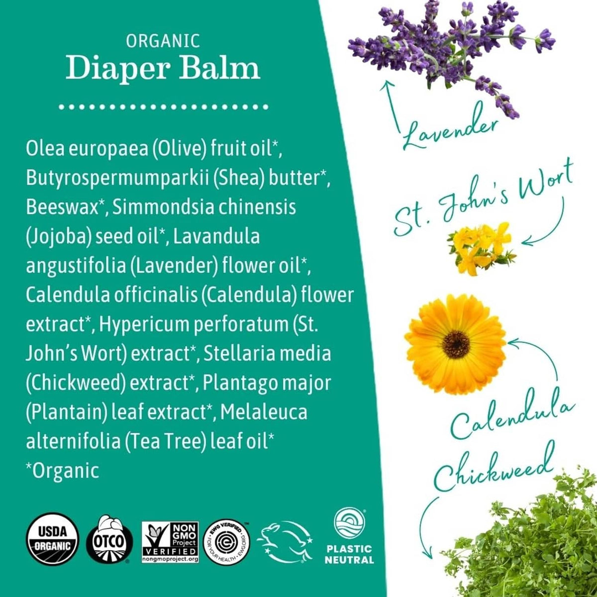 Organic diaper balm ingredient chart with listed botanicals and herb illustrations