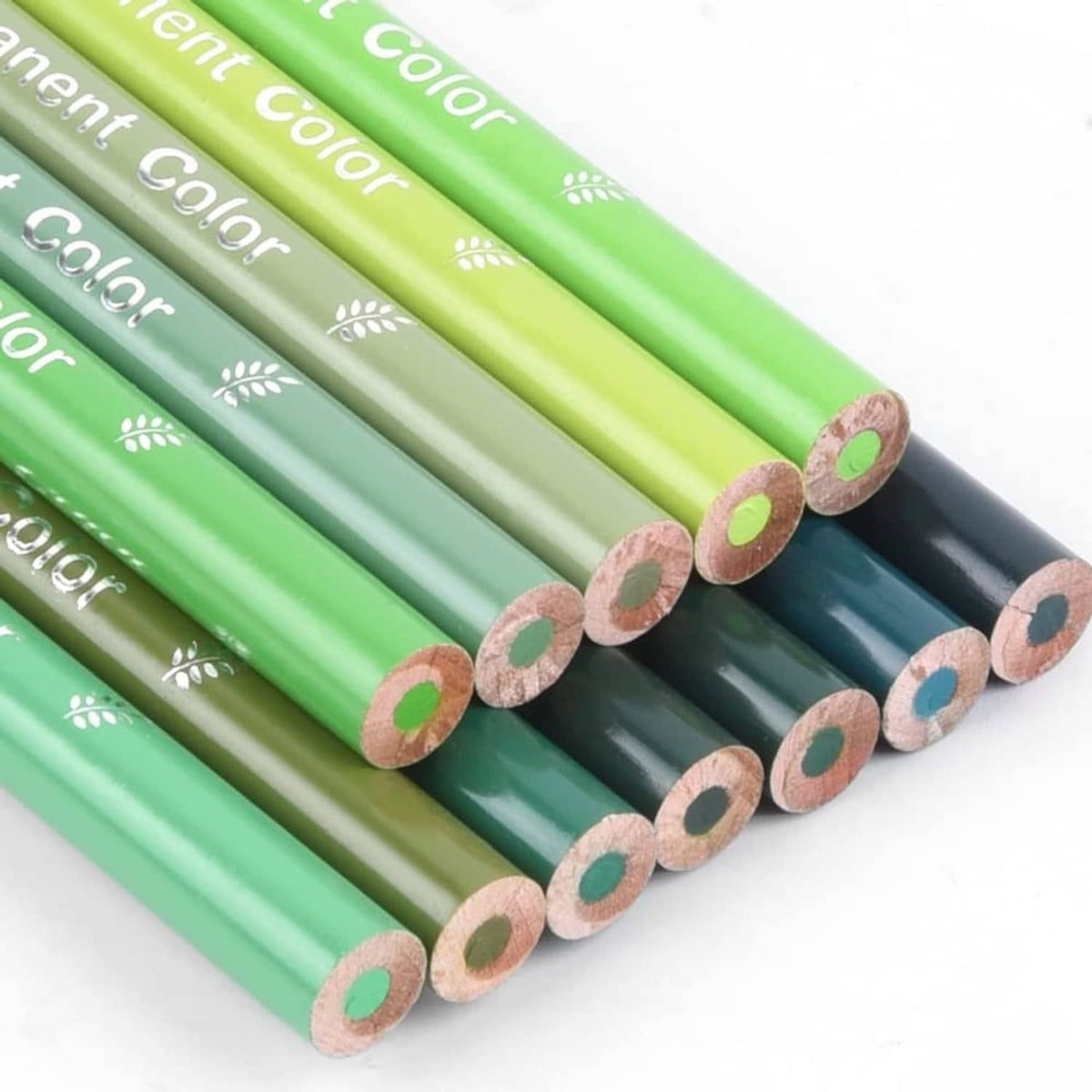 Green colored pencils bundle with exposed wood ends and pastel green leads