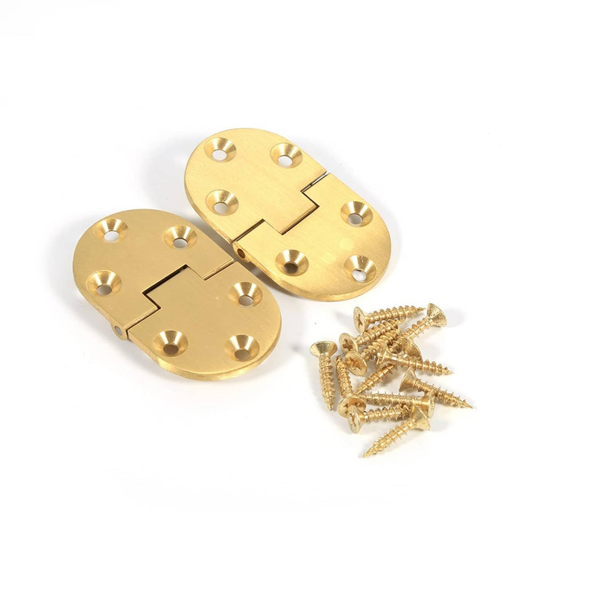Two brass round tray hinges with screws, polished gold hardware with mounting holes