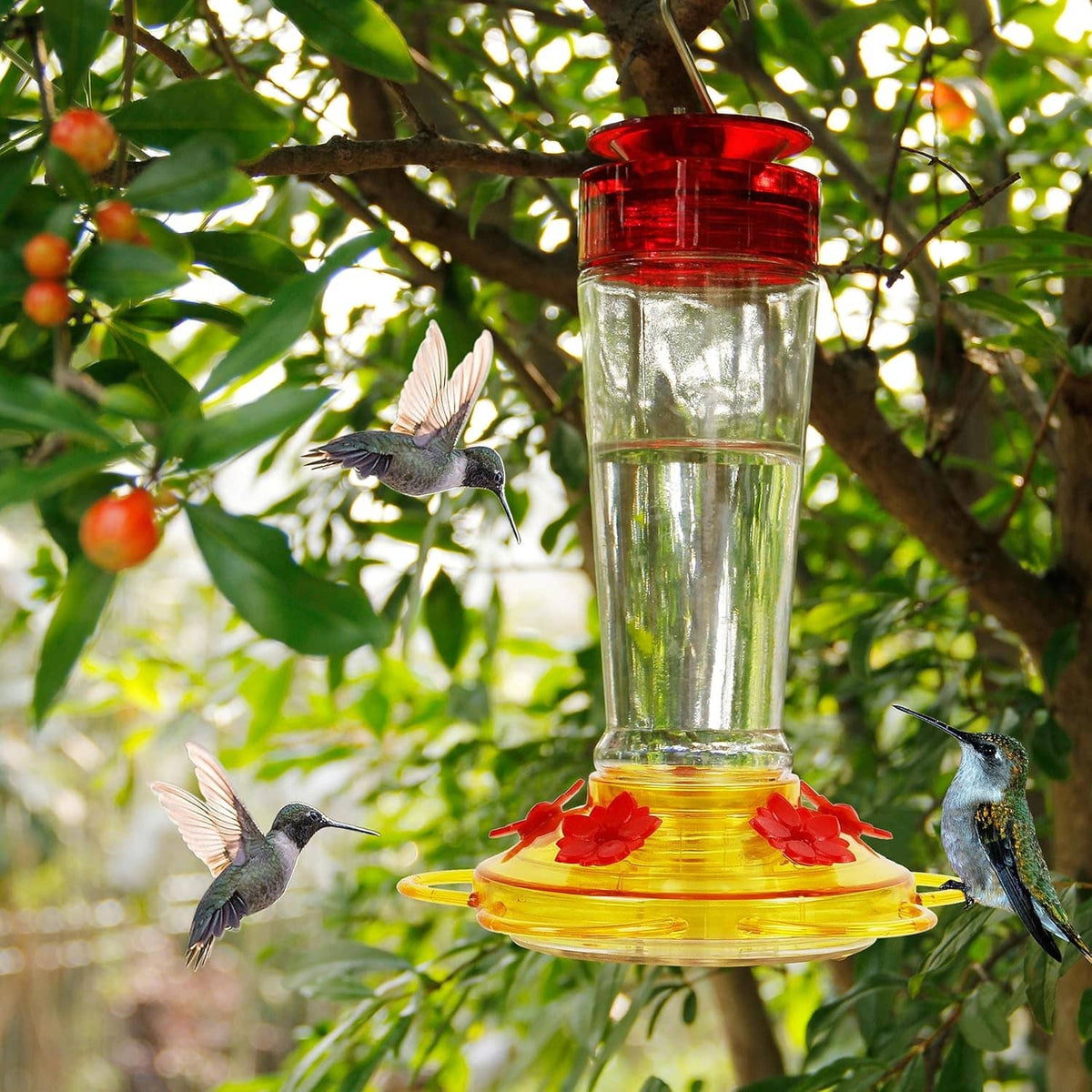Hummingbird glass bottle feeder with red top and yellow 5-port feeding tray