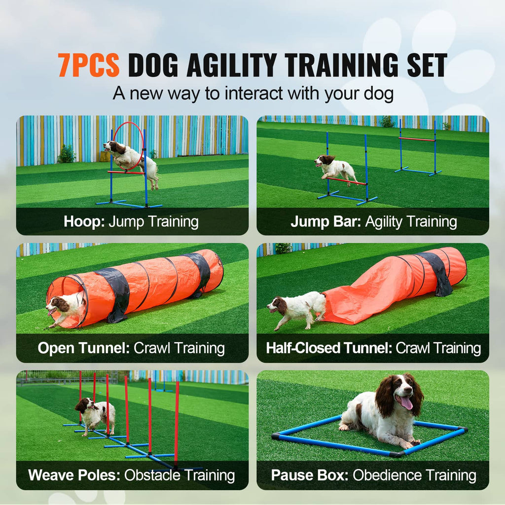 Dog agility training set with hurdles, weave poles, and orange crawl tunnels