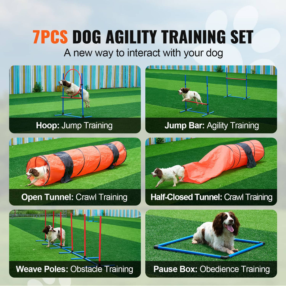 Dog agility training set with hurdles, weave poles, and orange crawl tunnels