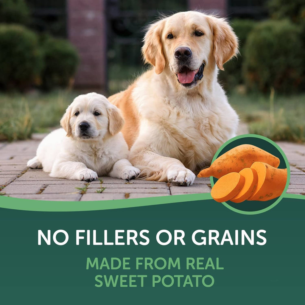 Sweet potato slices dog treat promotional card with orange slice graphic