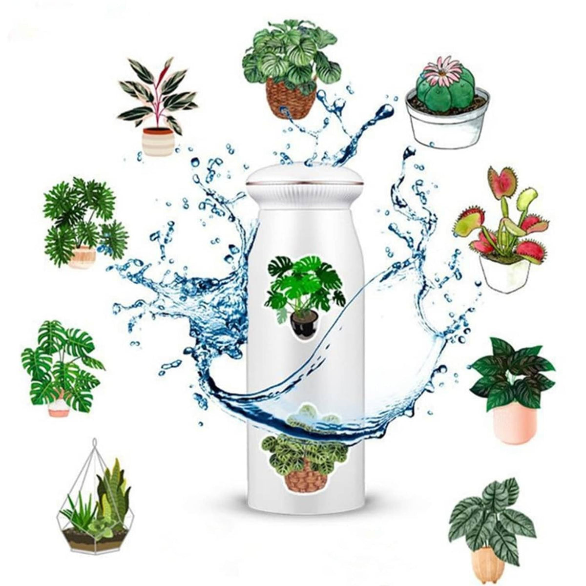 Green plant sticker set around a white fountain, potted cacti and succulents