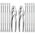 Seafood tools set with two lobster crab crackers and multiple stainless steel forks