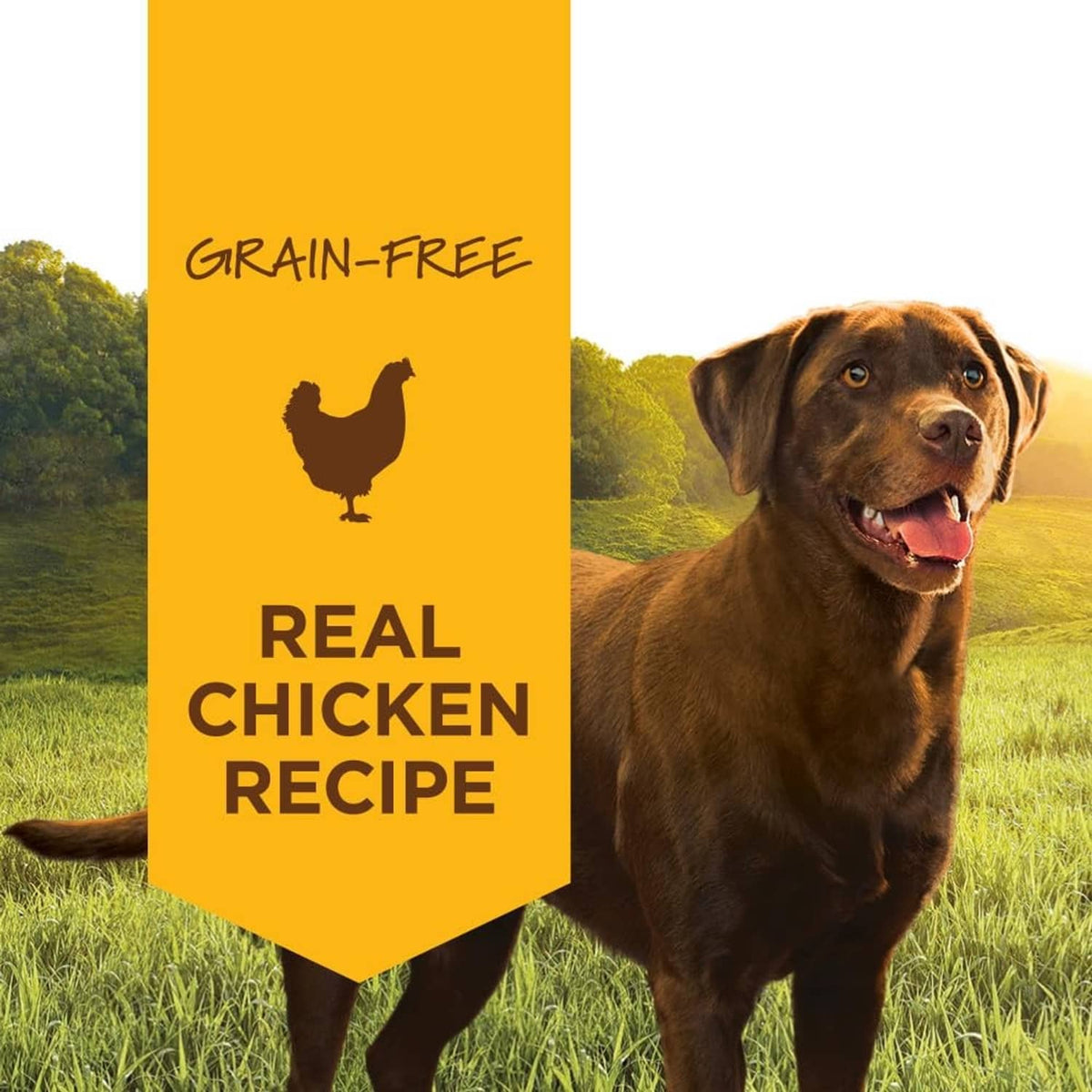 Grain-free real chicken dog food can label with dog photo and chicken graphic