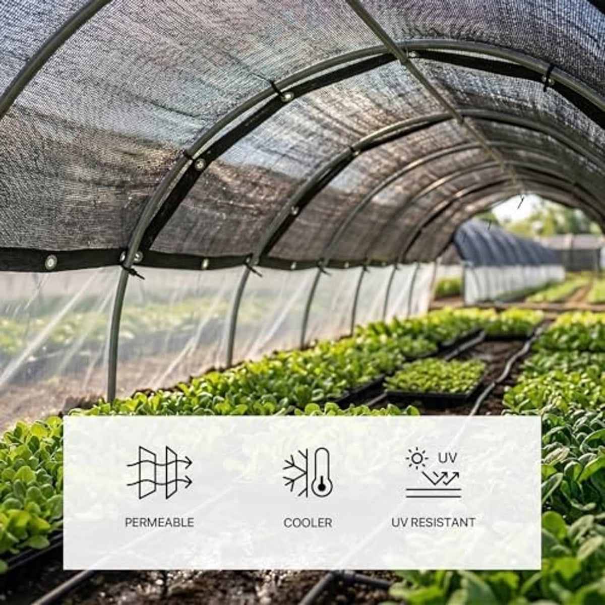 Black 50% mesh shade cloth tarp on frame over plants