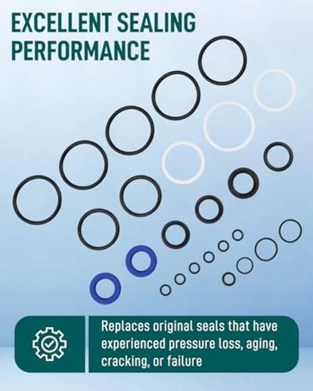 Tilt trim seal kit display with multiple black and blue O-rings of various sizes