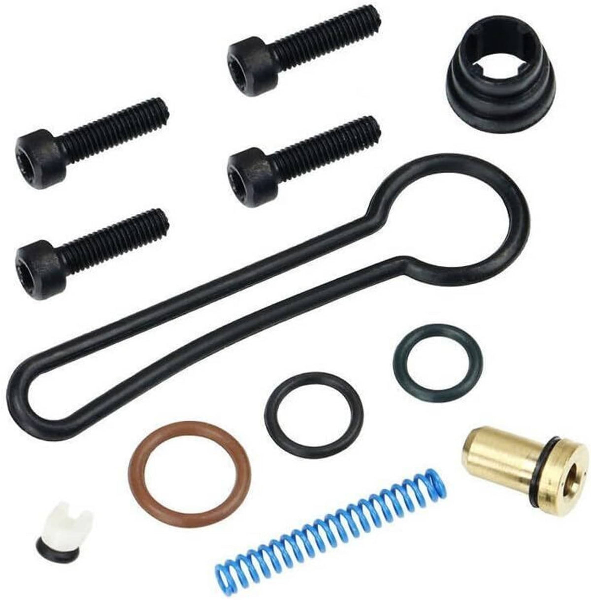Fuel pressure regulator hardware set with black bolts, hoses, spring, and O-ring seals