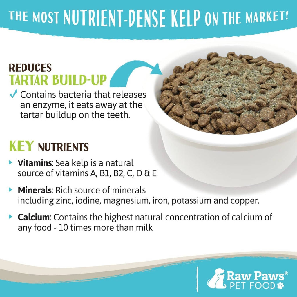 Organic sea kelp supplement pellets in white bowl, close-up