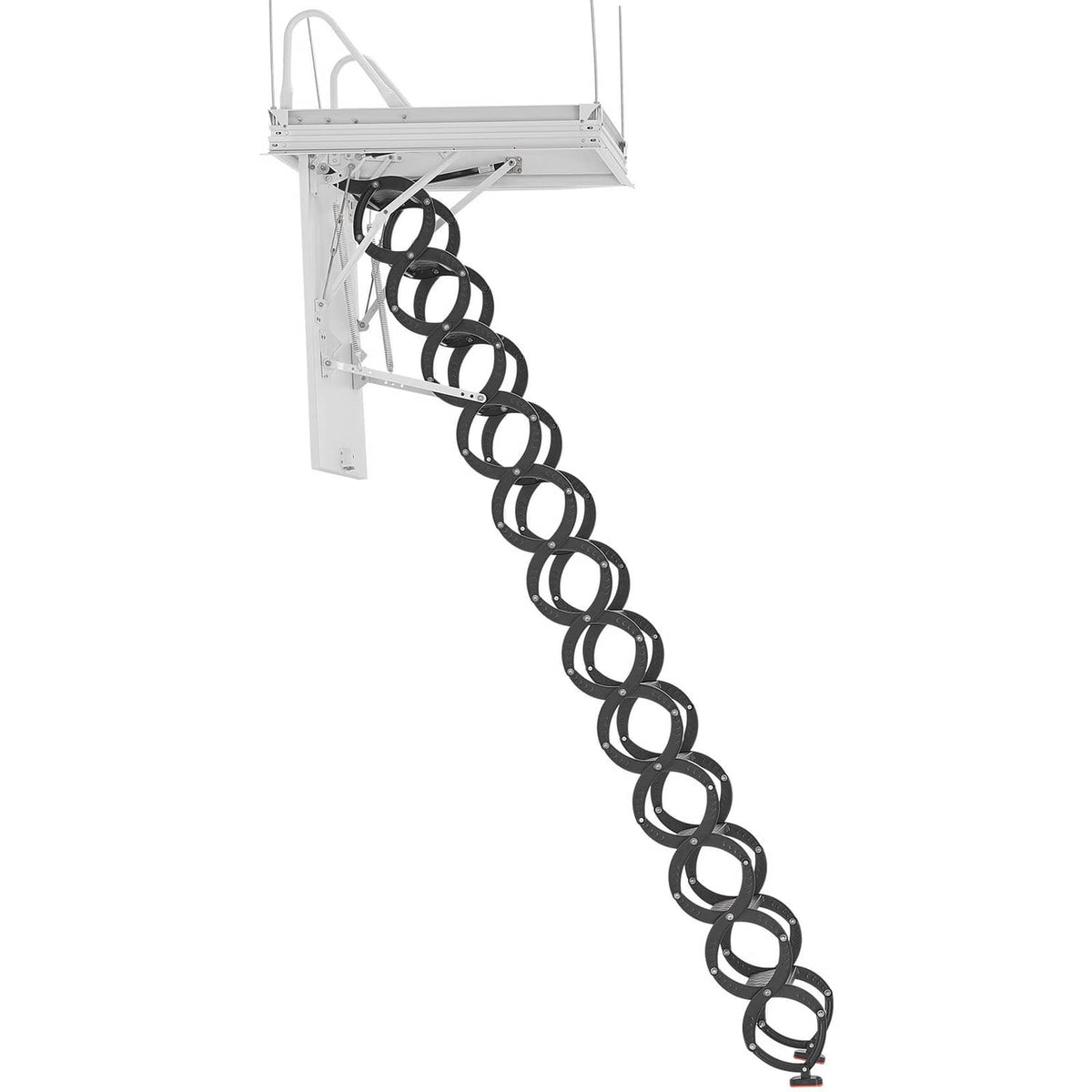 Extended ceiling attic ladder with 12 circular steps and side safety rails