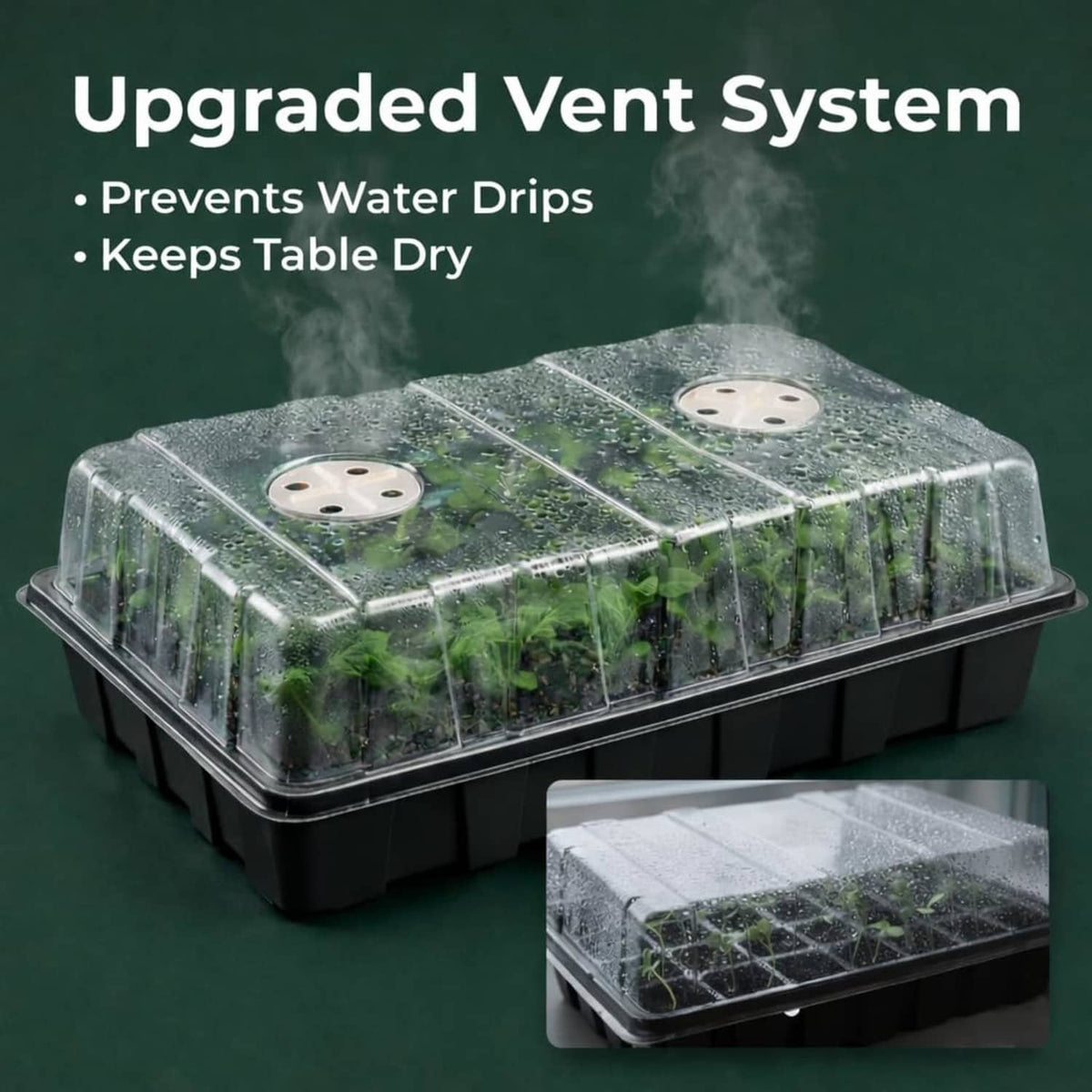Clear dome over black seed tray with vented lid and condensation droplets