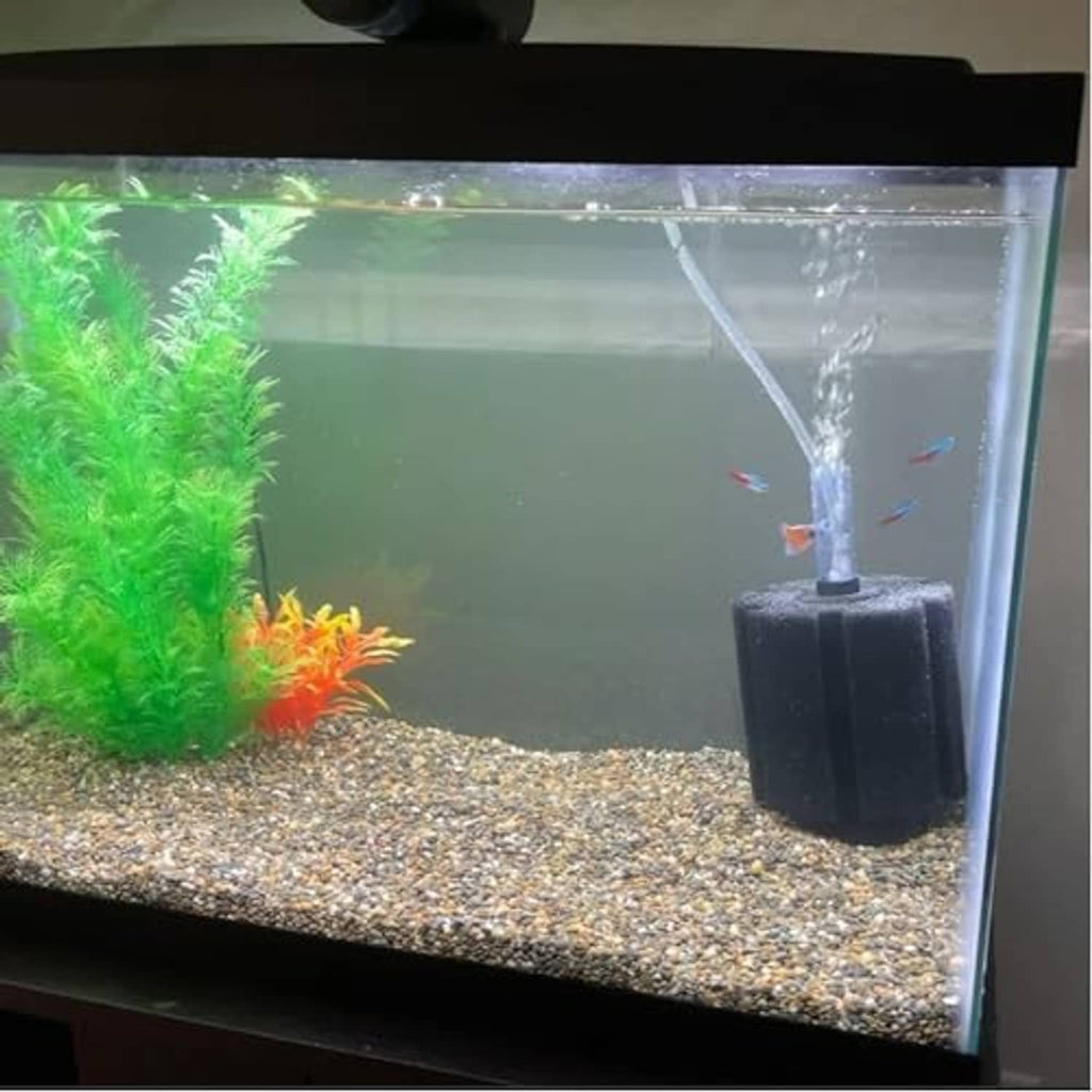 Black sponge bio filter submerged in aquarium water with lift tube