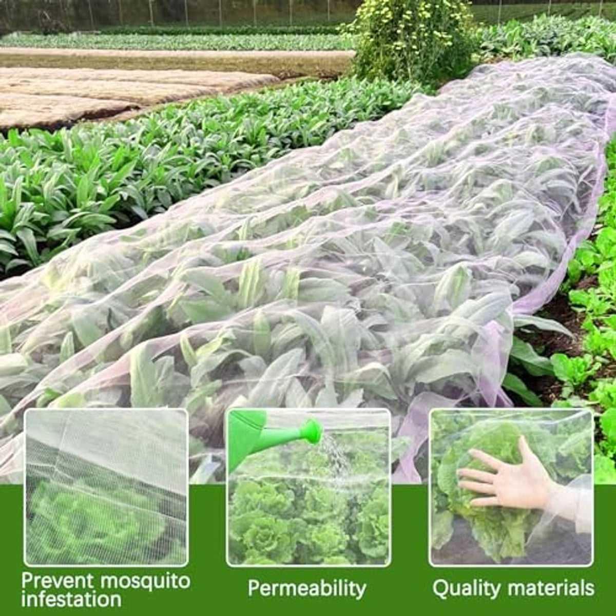 White ultra-fine garden insect netting over raised vegetable bed rows