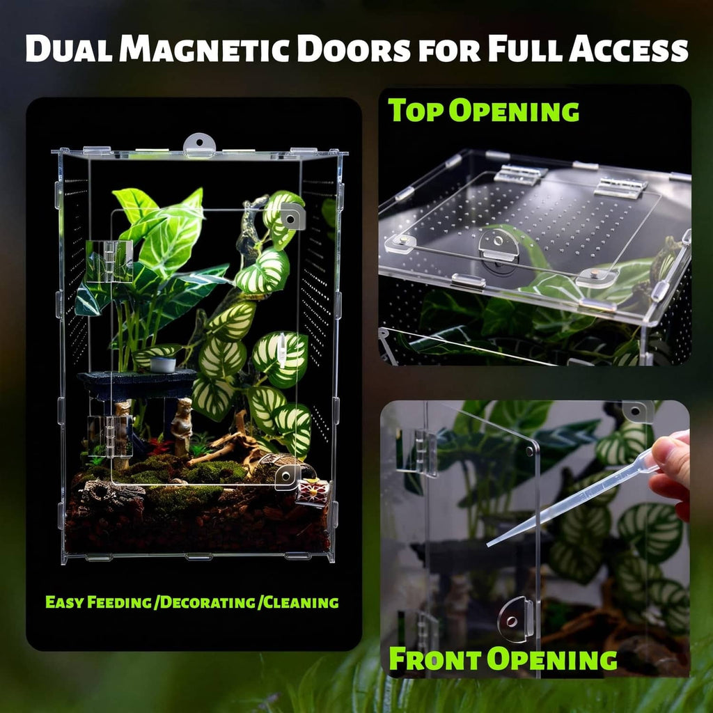 Acrylic jumping spider terrarium with dual magnetic doors for top and front access